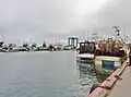 Chalutiers dans le port du Guilvinec