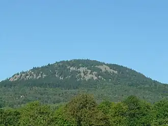 Le Grand Testavoyre.