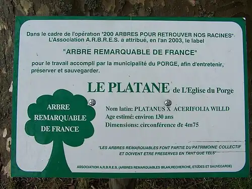Le panneau du label d'arbre remarquable du platane (mars&nbsp;2009)