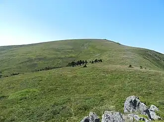 Rocher de la Sagne du Porc vu depuis peyre Ourse.