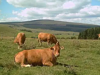 Vue du signal du Luguet.