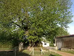 Le Sully de Pesselières en 2014.