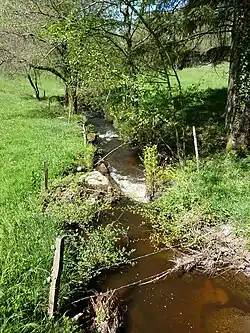 Le Trieux à Saint-Barthélemy-de-Bussière.