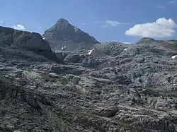 Le lapiaz de la Pierre Saint Martin (Pyrénées-Atlantiques), l'un des plus grands lapiaz de France.