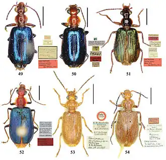 Description de cette image, également commentée ci-après