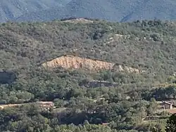 Affleurement miocène près de Los Masos : sable plus fin.