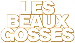 Description de l'image Les Beaux Gosses.png.