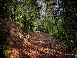 Les Bouchoux et ses nombreux sentiers de randonnée