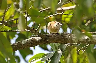 Description de cette image, également commentée ci-après
