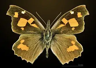 Description de cette image, également commentée ci-après