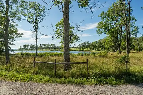 Paysage à proximité du manoir avec pâturages et arbres feuillus.
