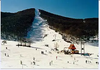 Vue aérienne de la station.