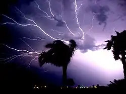 Plusieurs éclairs dans le ciel. Ceux-ci sont à l'horizontal et sont très ramifiés.