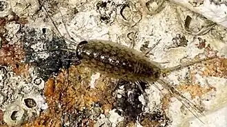 Description de cette image, également commentée ci-après