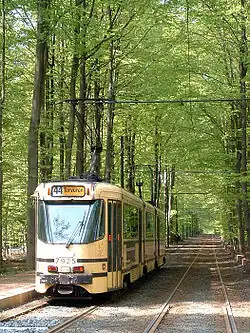 Tramway de la ligne 44 du tramway de Bruxelles traversant la forêt de Soignes en site propre (site indépendant).