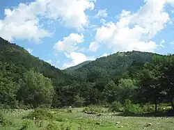 Prés vers le nord du Likhi.