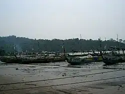 Pirogues camerounaise de Limbé