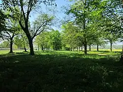 Lindenallee, pistes cyclables subventionnées par l'UE