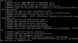 Une capture d'écran du noyau Linux au démarrage
