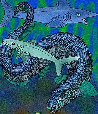 Dessin de   Listracanthus hystrix.