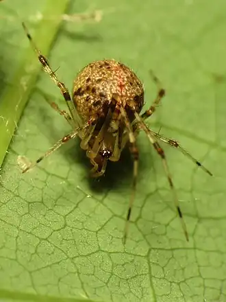 Description de cette image, également commentée ci-après