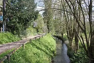 Un des bras du torrent d'Authou.