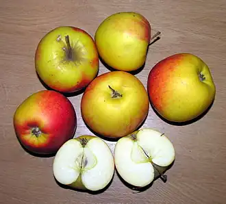 Description de cette image, également commentée ci-après