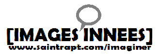 IMAGES INNÉES