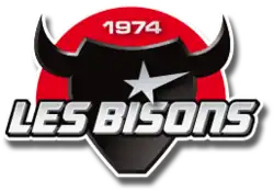 Description de l'image Logo-les-bisons.png.