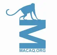 alternative textuelle