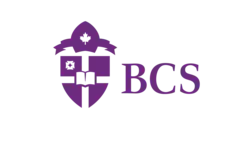 Description de l'image Logo BCS.png.