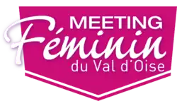 Description de l'image Logo_Feminin_2016.png.