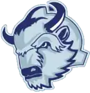 Description de l'image Logo HK Dinamo-Chinnik.png.