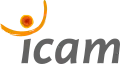 Nouveau logo de l'Icam toutes formations depuis septembre 2008.
