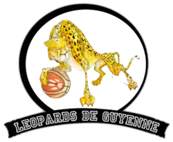 Logo du BordeauxLéopards de Guyenne