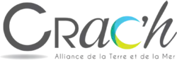 Crach