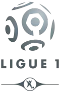 Logo de 2008 à 2017 avec l'apparition de l'Hexagoal.
