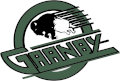 Logo des Bisons de 1991 à 1995
