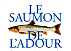 Image illustrative de l’article Saumon de l'Adour