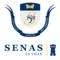 Sénas