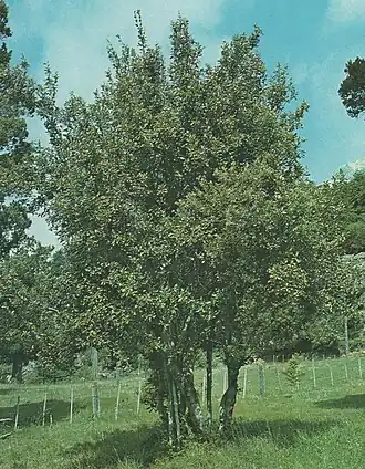 Description de cette image, également commentée ci-après