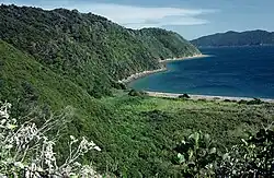 Photographie d'une côte très accore et couverte de végétation qui plonge dans la mer.