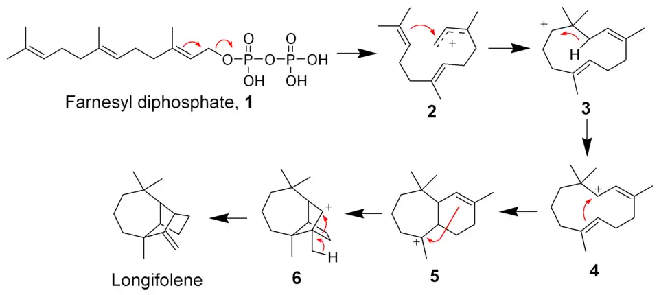 Biosynthèse du longifolène.