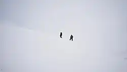Photographie des deux hommes dans la neige.