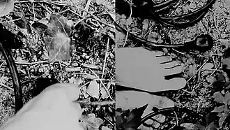 Ne demande pas à la Terre, performance filmée