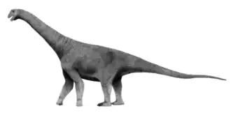 Description de l'image Lourinhasaurus LMR.png.