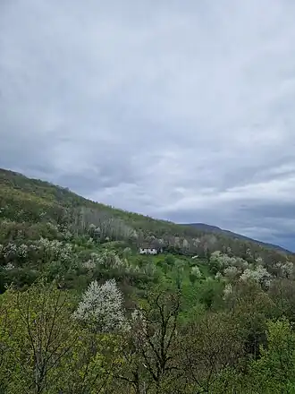 Dedinje (Kosovska Mitrovica)