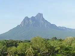 Photographie d'une montagne sacré du peuple amérindien Yanomami