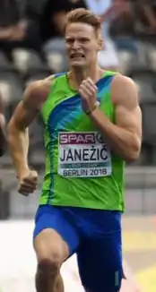 Image illustrative de l’article Luka Janežič