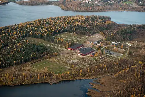 Image illustrative de l’article Hertsön